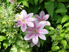 c0125356_065022.jpg