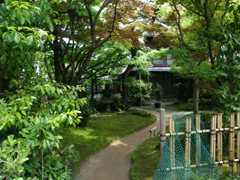 c0125356_065979.jpg