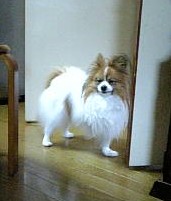 c0149056_0433889.jpg