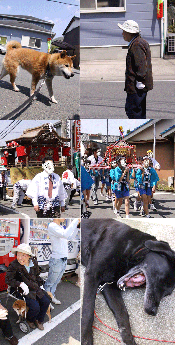 e0149256_104601.gif
