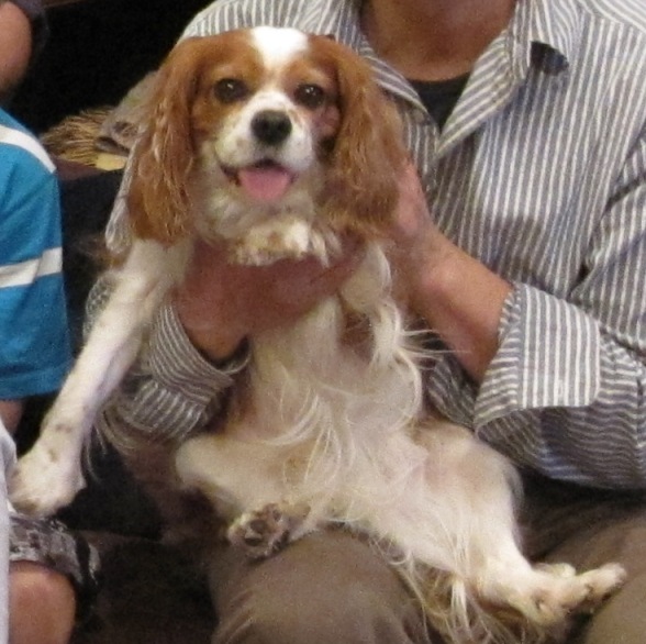 c0055857_11333438.jpg