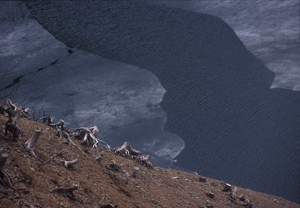 e0083559_19528.jpg