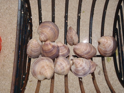 c0180460_2220657.jpg