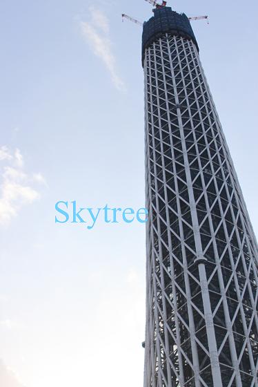 「Sky tree」_e0172362_23311447.jpg