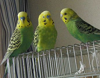 f0196665_01211.jpg