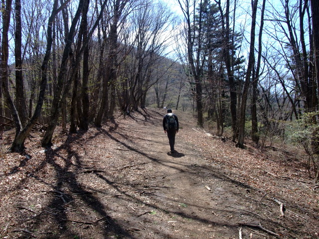 奥多摩三山制覇♪　御前山　その③_a0043982_21312184.jpg