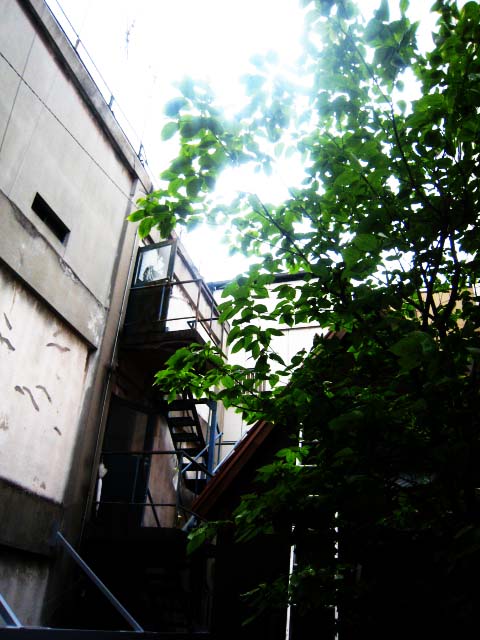 現場へ_b0137082_17515125.jpg