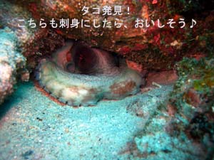 お帰りなさぁ~い♪_f0144385_2351306.jpg