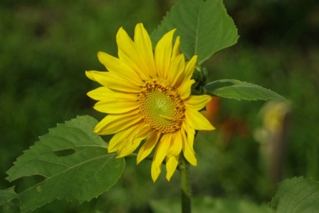 c0222486_045612.jpg