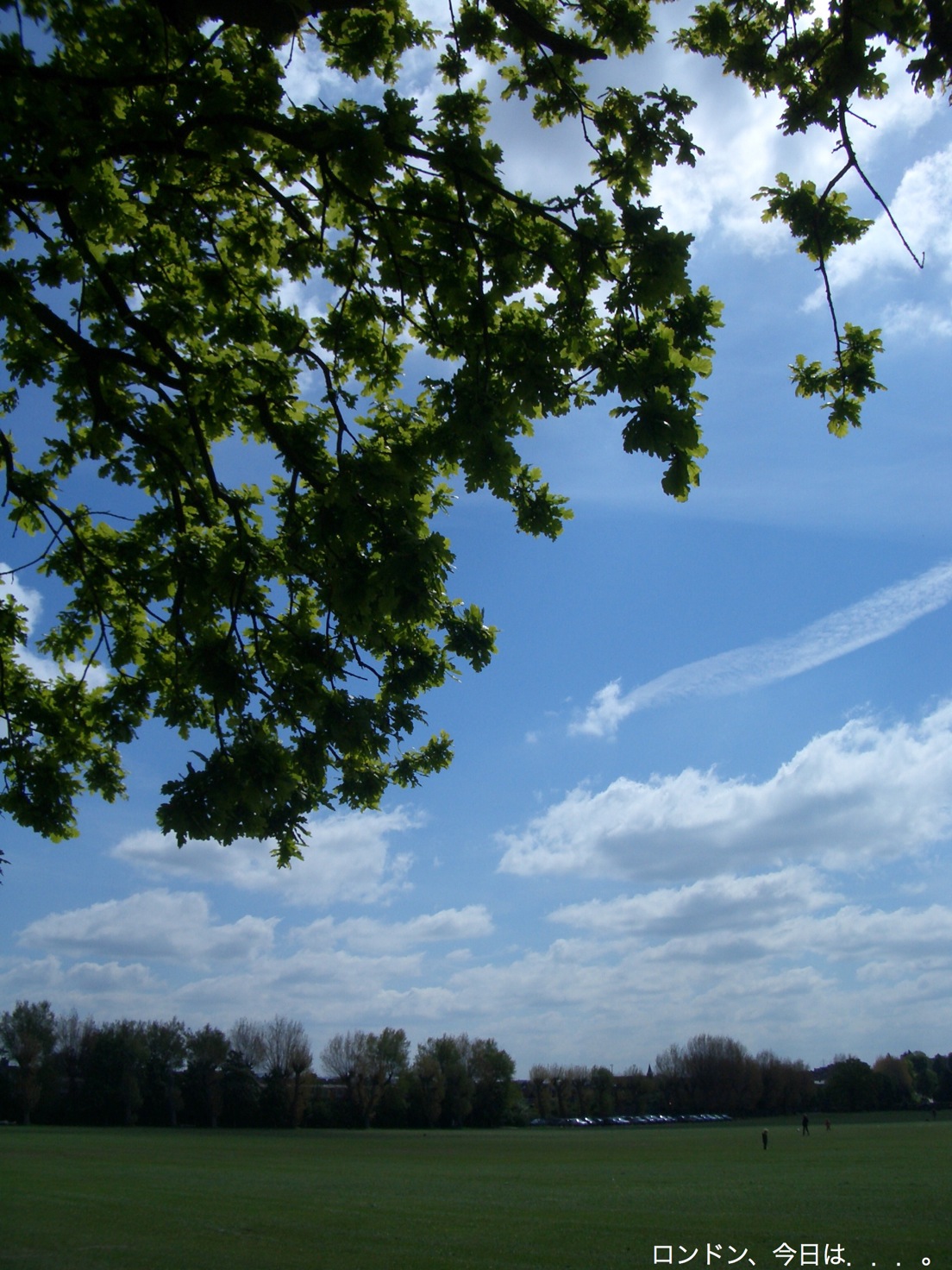 a0137487_2292964.jpg