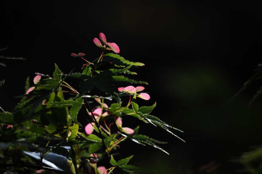 a0143491_0585228.jpg