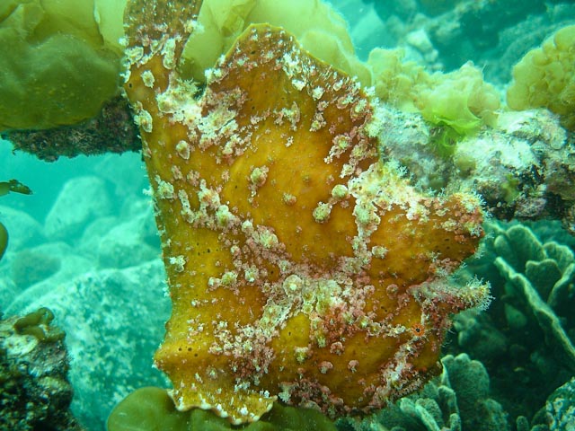 e0064291_21313436.jpg