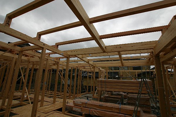 f0125091_13746.jpg