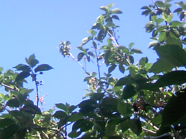 b0135992_8231326.jpg