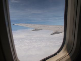 ただいま!_f0232994_23554587.jpg
