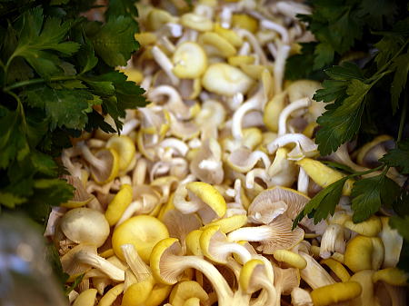 c0090198_5552322.jpg