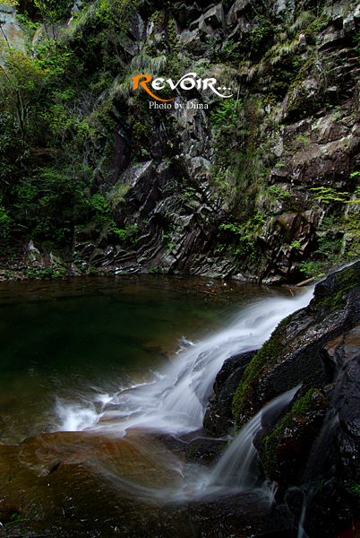 c0183700_025110.jpg