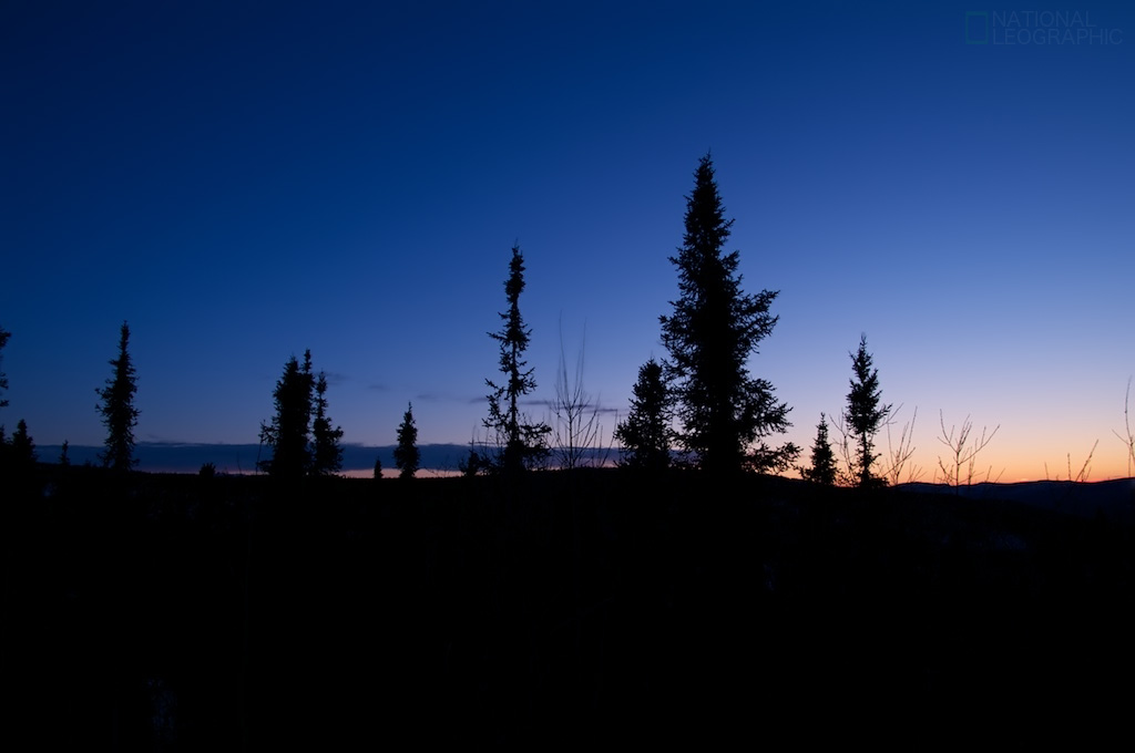 c0080101_15493528.jpg