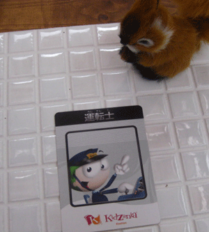 c0128402_12434267.gif