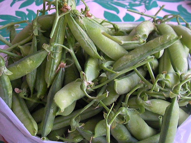 f0038407_1623535.jpg