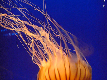 a0041508_134311100.jpg