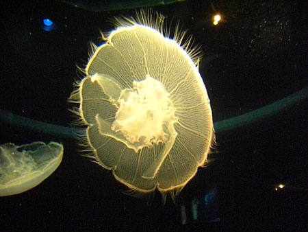 a0041508_13433772.jpg