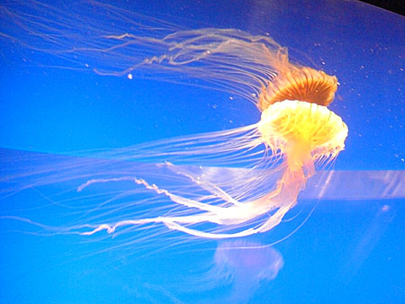a0041508_13442244.jpg