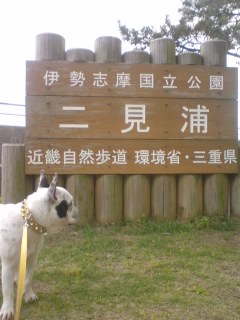 b0085408_1131115.jpg