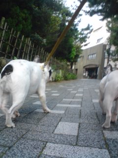 b0085408_1235364.jpg