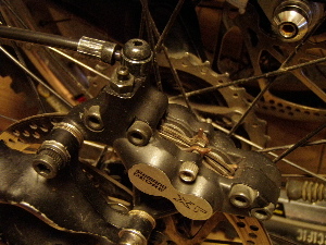 f0086008_855555.jpg