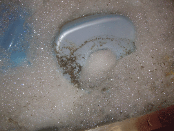 b0159611_16504286.gif