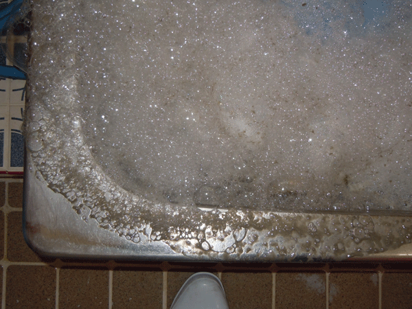 b0159611_16512195.gif