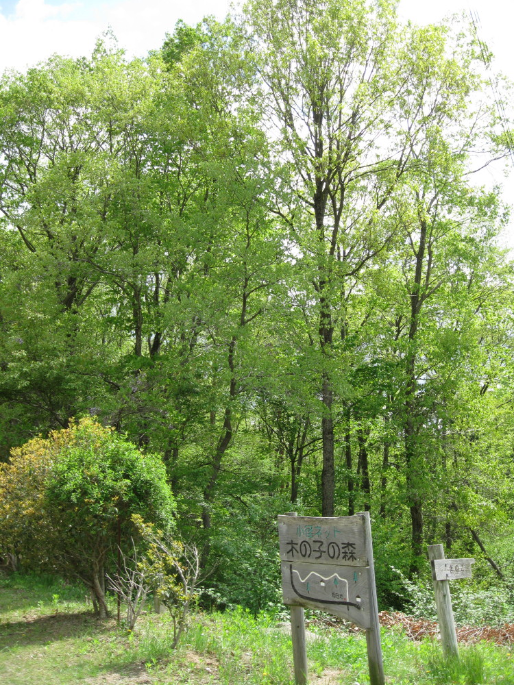 c0218213_18415840.jpg