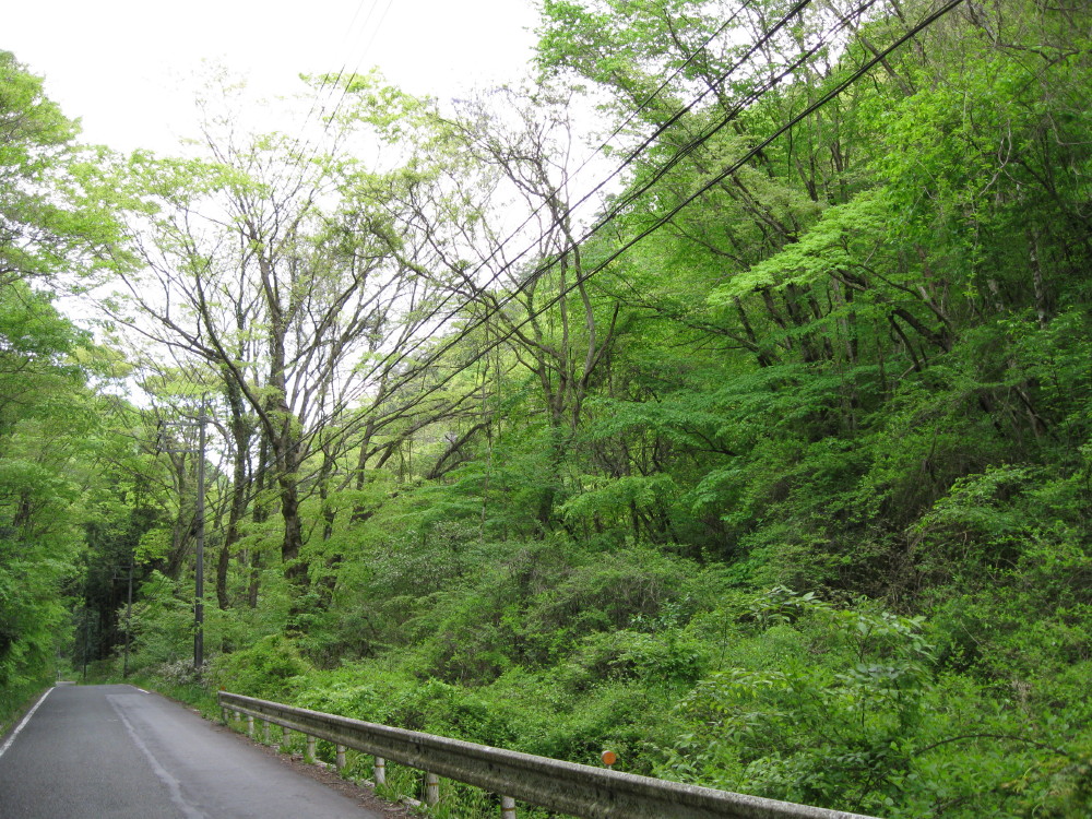 c0218213_1843334.jpg
