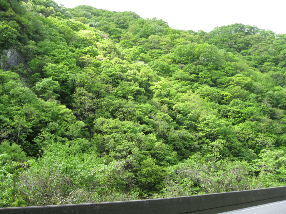 c0218213_18434710.jpg