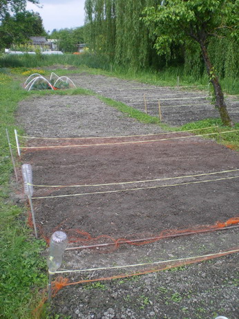 c0124619_5142132.jpg