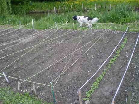c0124619_5154487.jpg