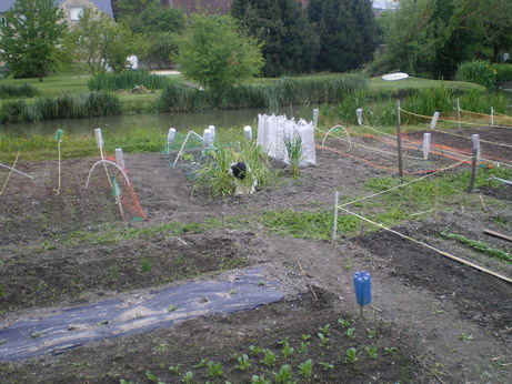 c0124619_5212557.jpg