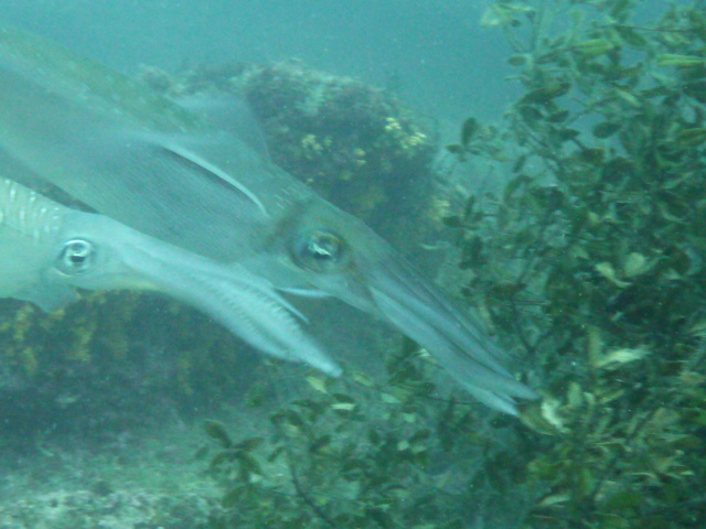 a0104720_23273561.jpg