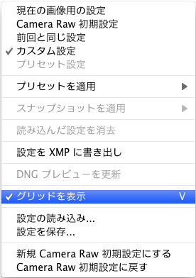 待望のCamera Rawレンズ歪曲補正です!\(^o^)/_f0077521_20395190.jpg