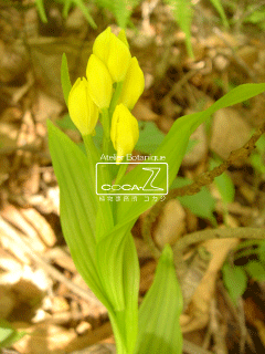 b0160123_0413645.gif
