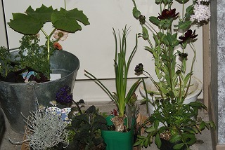 f0170524_10425066.jpg