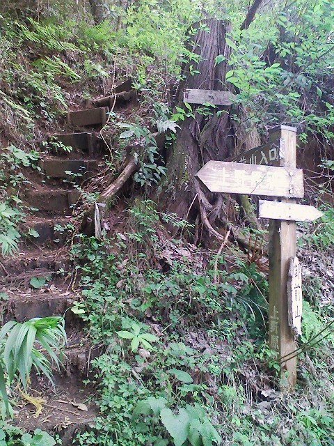 b0184725_1314385.jpg
