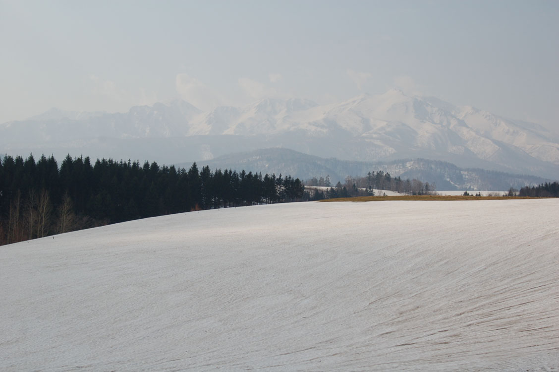 b0142428_23342141.jpg
