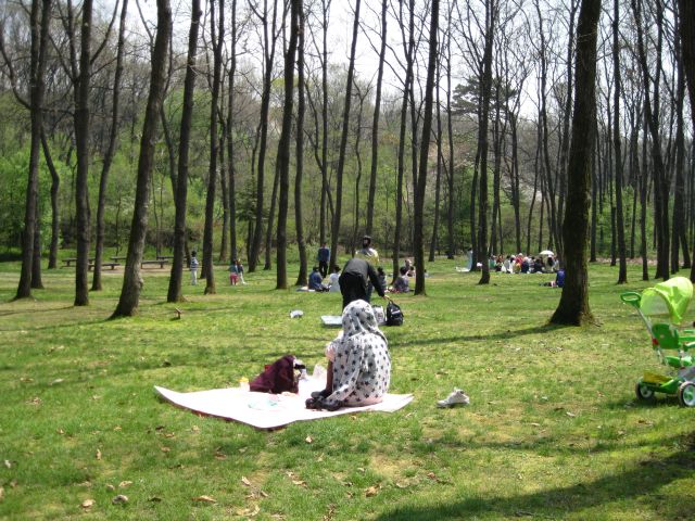 e0056232_20553100.jpg