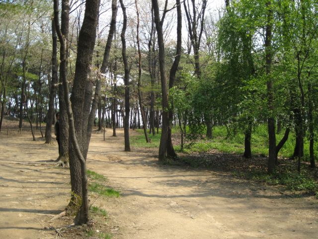 e0056232_2174938.jpg
