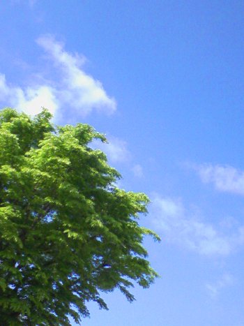 f0213332_963992.jpg