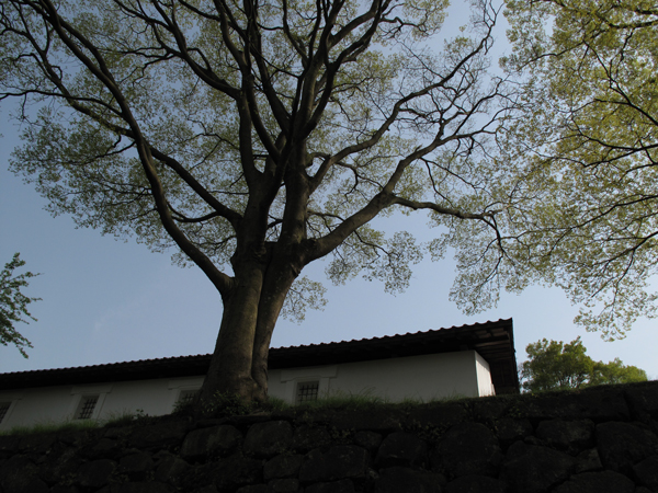 b0177233_5122072.jpg