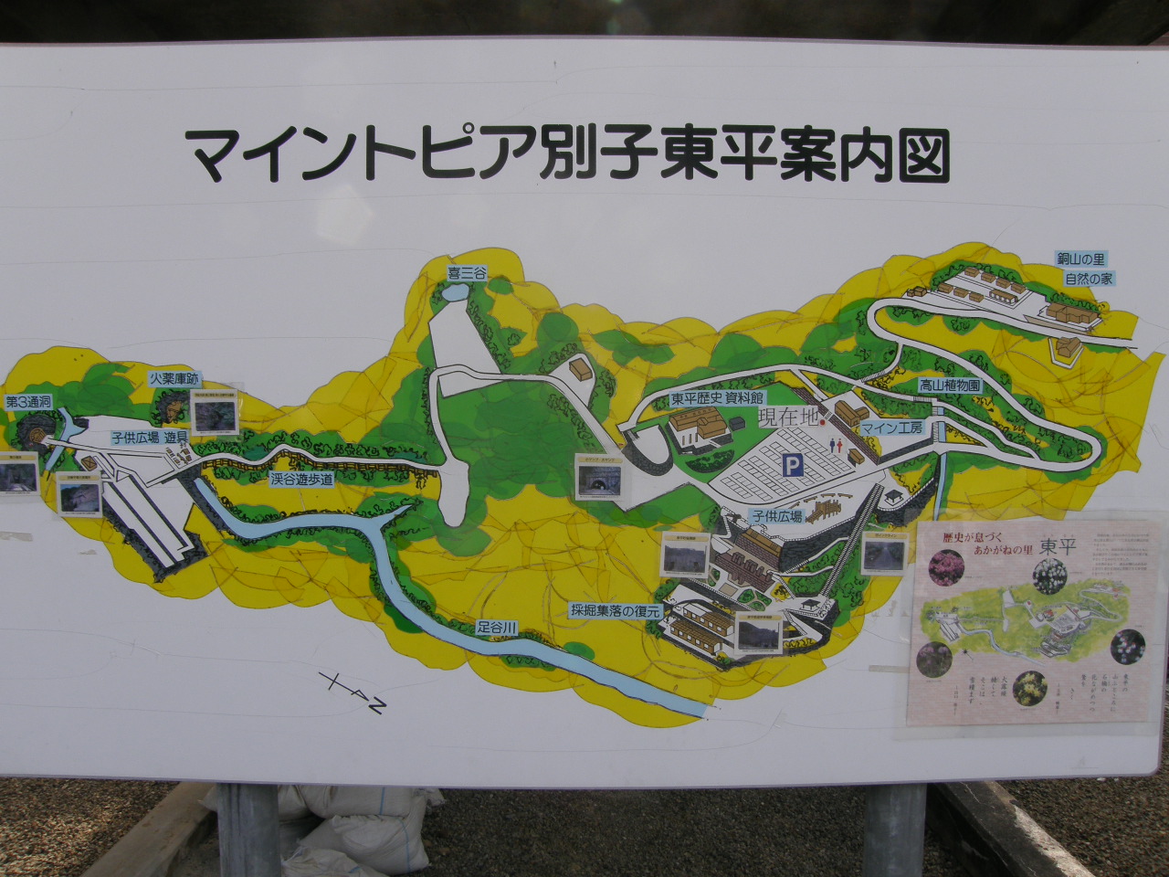 c0141933_2391444.jpg