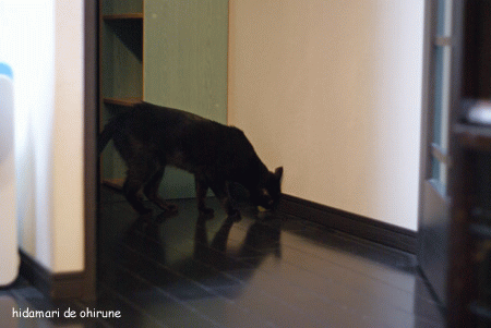 c0132438_2144547.gif